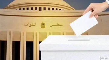 إجراءات قانونية.. الجهات القضائية تحرك ملف تزوير صفة المهندسين في الدعاية الانتخابية